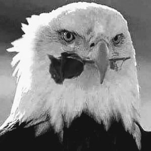 Meet your Posher, Charlie